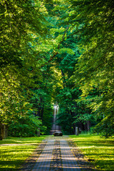 scenic beautiful tourist trail footpath in green forest