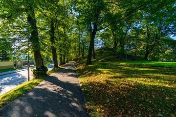 scenic beautiful tourist trail footpath in green forest