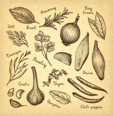 Ink sketch of food ingredients
