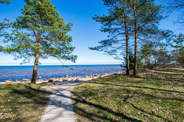 lonely empty sea beach with white sand, large rocks and old wooden trunks on the shore
