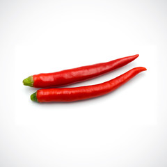 Red hot chili pepper isolated on the white background.