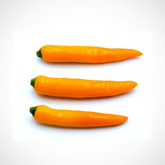 Yellow hot chili pepper isolated on the white background.