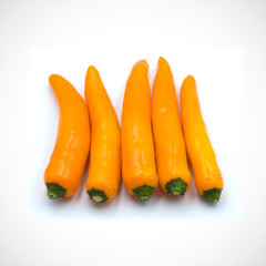 Yellow hot chili pepper isolated on the white background.