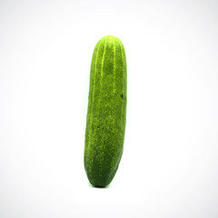 One cucumber on a white background
