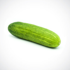 One cucumber on a white background
