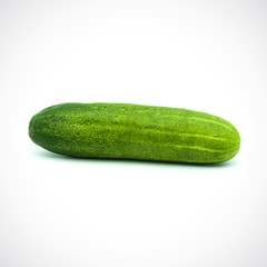 One cucumber on a white background