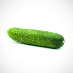 One cucumber on a white background