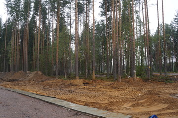 road construction in the forest