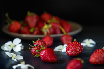 Strawberries, scattered and in a plate on a dark background under the concrete and with white flowers.