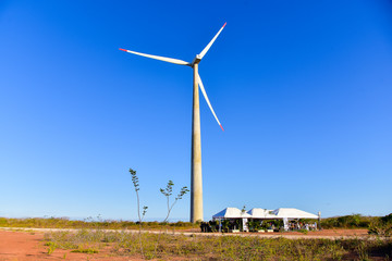 wind energy rio grande do norte brazil, wind energy, wind power tower, offshore wind energy, sustainable energy, wind farm, Sao Miguel do Gostoso, brazil