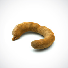 Tamarindus indica,on the White Blackground