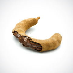 Tamarindus indica is the fungus on the White Blackground