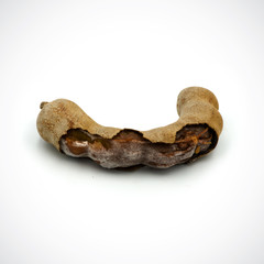 Tamarindus indica is the fungus on the White Blackground