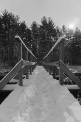 bridge in winter