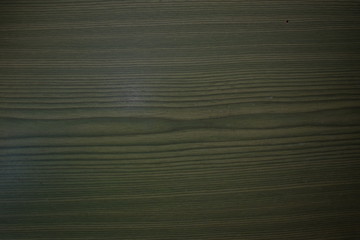 grünes Holz