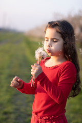 Cute, happy little girl blowing a dandelion. Outdoor recreation.