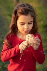 Cute, happy little girl blowing a dandelion. Outdoor recreation.