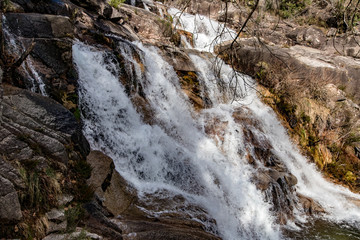 waterfall in forest