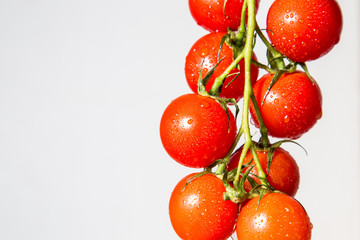 The photo shows a branch of juicy, red, tomato on a white background.