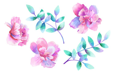 Beautiful purple pink flowers and green purple branches. Floral set. Elements for romantic design. Hand drawn watercolor illustration. Isolated on white background.