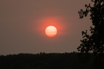 firey sunset burns vibrant orange