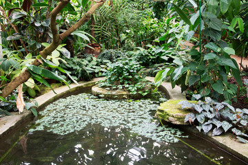 Photo of artificial pond in the botanical garden