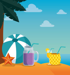palm tree with ball and smoothie beverage with starfish