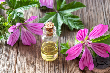 Obraz na płótnie Canvas A bottle of mallow essential oil with fresh malva sylvestris flowers