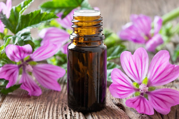 A bottle of common mallow essential oil with blooming malva sylvestris twigs