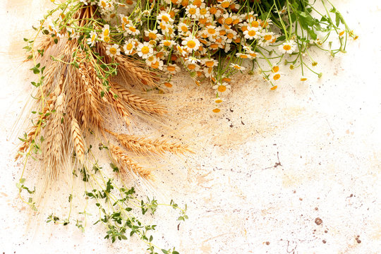 Daisy flowers on wooden background, summer chamomile flat lay. Valentine's,  womens, mothers day, birthday or wedding concept. Top view. Copy space.  Generated AI. 26848864 Stock Photo at Vecteezy