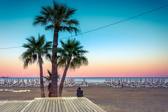 Palm trees and sunbeds at the sandy beach of Larnaca, Cyprus