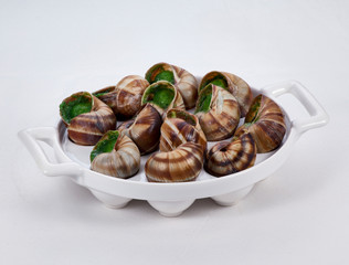 snails on plate