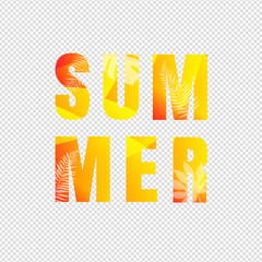 Summer Text Isolated Transparent Background