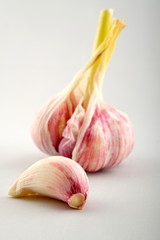  bulb and clove of young garlic