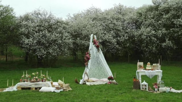 Brown bark with bridle standing in forest near tree trunk captured in slow motion