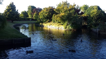 Obraz premium Stream of river besides park