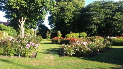 garden in park