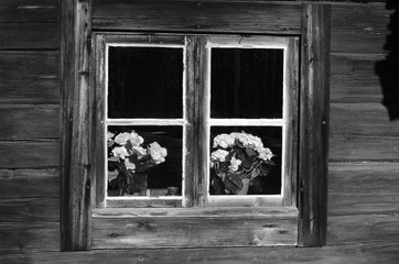 A window view on an old wooden cabin in Sweden.