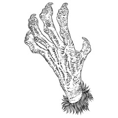 Engraving monster hand, zombie, werewolf, dragon or vampire palm hand with long nails in attack gesture. Vector.