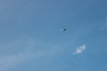 seagull flying in blue sky