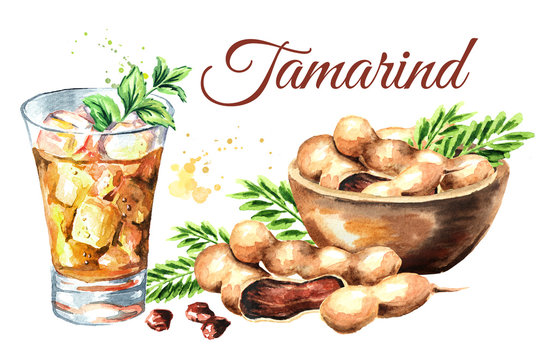 Fresh tamarind fruits and leaves, glass of juice with ice and bowl with tamarinds card. Watercolor hand drawn illustration, isolated on white background