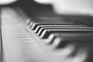 detail of the grand piano