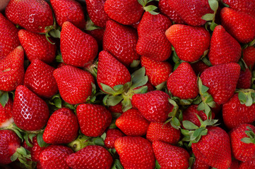 Aerial view of set of freshly picked strawberries