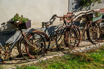 Fototapeta na wymiar Vieilles bicyclettes