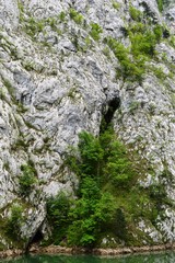 large rocks and trees on them