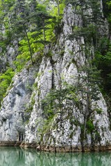 large rocks and trees on them