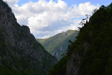 large rocks and trees on them