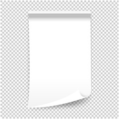 White Blank Sheet Of Curled Paper Isolated Transparent Background