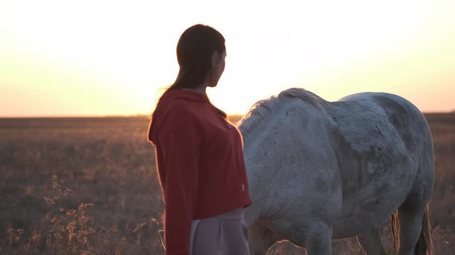 Sympathetic girl leads white horse in endless field at sunset, the horse follows