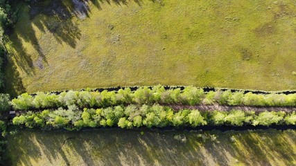 road in the countryside. path among the green woods and water in the reservoir top view. areal view road through the green forest. 4k footage Toksovo, malinovaya gora 